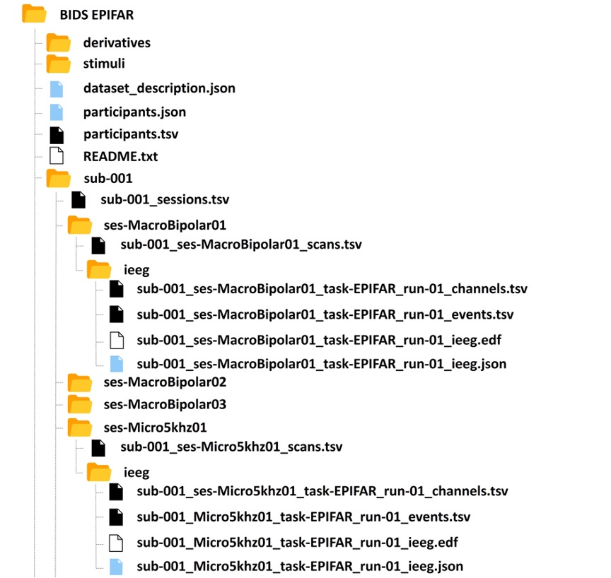 Convertisseur BIDS - Standardisation de données EEG