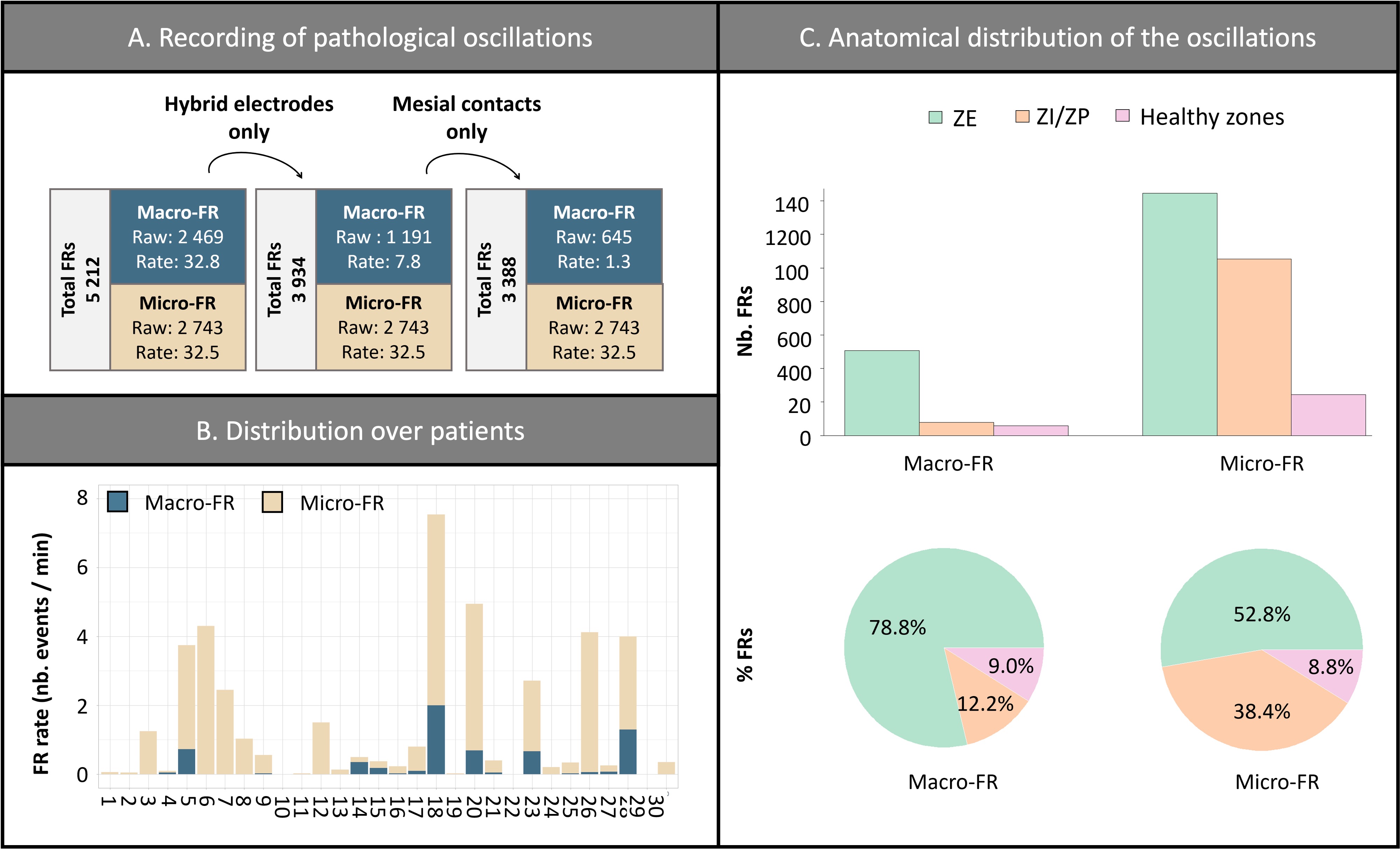 Dashboard Clinique - Suivi patients épileptiques